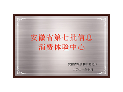 O sétimo lote de centros de experiência de consumo de informação na província de Anhui