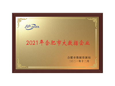 Empresa de Big Data de Hefei em 2021