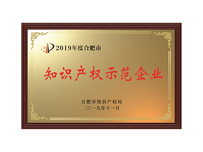 Empresa de demonstração de propriedade intelectual